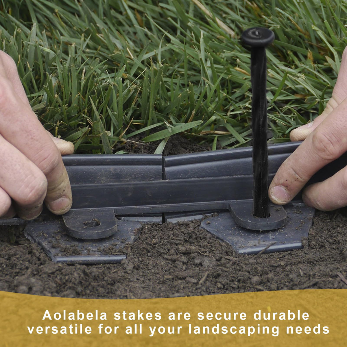 Aolabela paver edging spikes provide stable borders for paths.