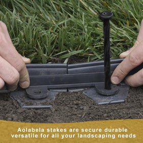 Aolabela paver edging spikes provide stable borders for paths.