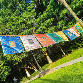 Aolamegs 40pc flag set offers complete decorative impact for rooms and yards.