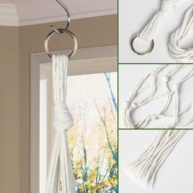 Indoor outdoor plant display using ivory AOMGD hangers