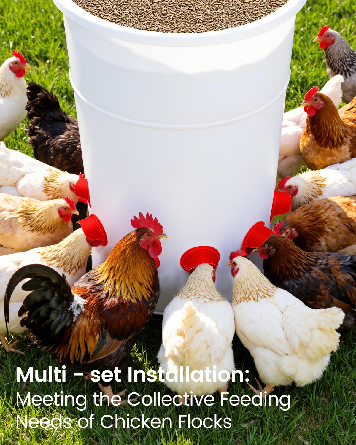 Aopchry egg-shaped design provides sturdy structure with smooth gravity feed.