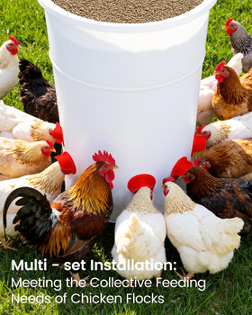 Aopchry egg-shaped design provides sturdy structure with smooth gravity feed.