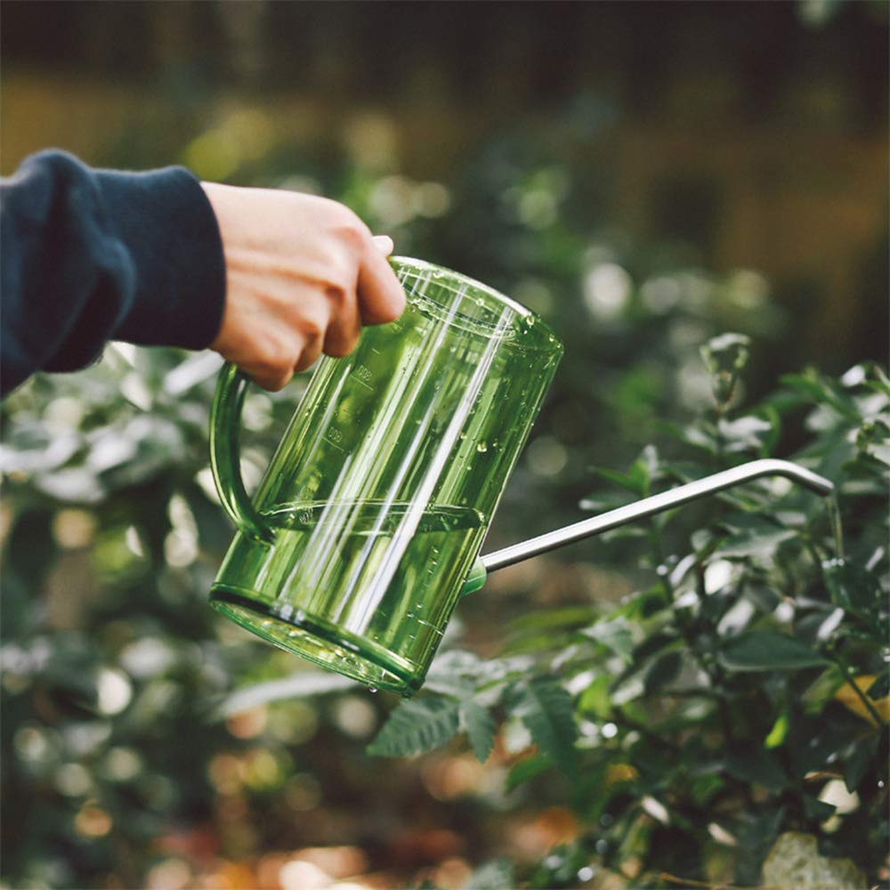AORAKI bonus spray bottle included for misting small plants.