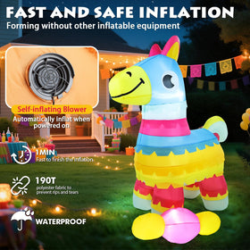 Weatherproof polyester material keeps colors vibrant through wind and rain