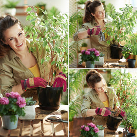 AOUCHI leather gardening gloves displaying dexterity for precise tasks.