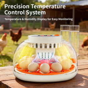 APDOE HatchPro12 automatic egg turning every 2 hours for even embryo development.