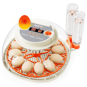 APDOE HatchPro12 precision temperature and humidity view through the dome for stable incubation.