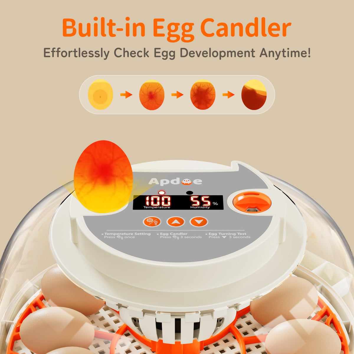 APDOE HatchPro12 removable egg tray for quick detaching and thorough cleaning.