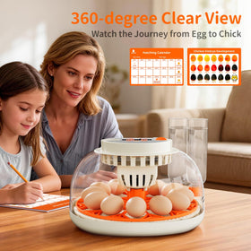 APDOE HatchPro12 simple interface makes incubation approachable for families and classrooms.