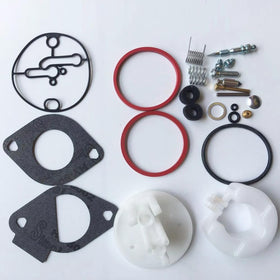 APHP carburetor repair kit front view with essential rebuild parts for Briggs & Stratton engines.