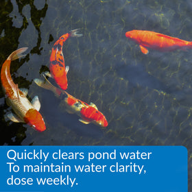 Cloudy pond water before treatment with API POND ACCU-CLEAR.