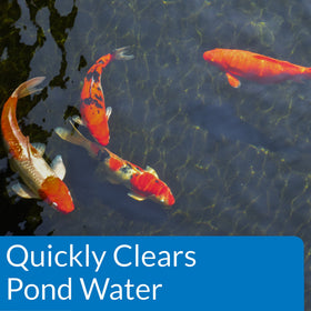 API POND ACCU-CLEAR forms large clusters for removal from pond water.