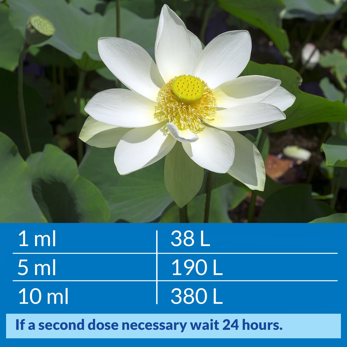 API POND ACCU-CLEAR improves filter efficiency for clearer results.