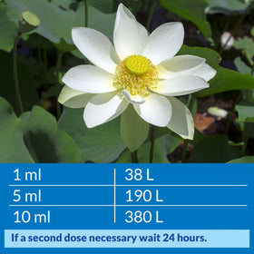 API POND ACCU-CLEAR improves filter efficiency for clearer results.