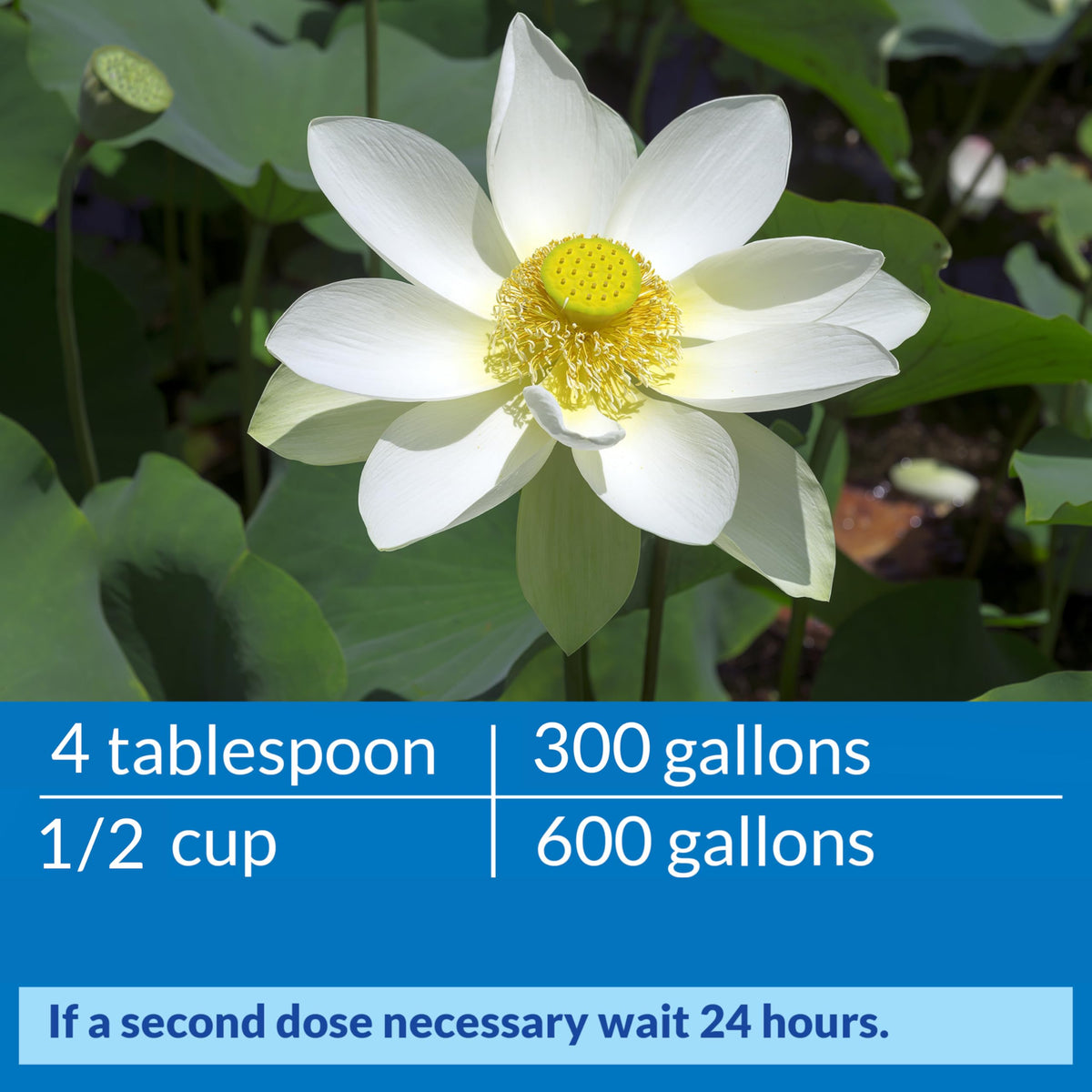 Weekly use in a freshwater pond promotes clearer water with API ACCU-CLEAR.