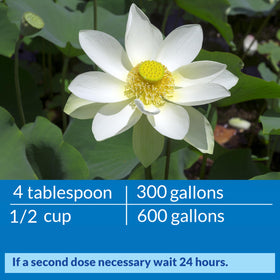 Weekly use in a freshwater pond promotes clearer water with API ACCU-CLEAR.