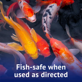 API POND ALGAEFIX used in koi ponds with aeration.