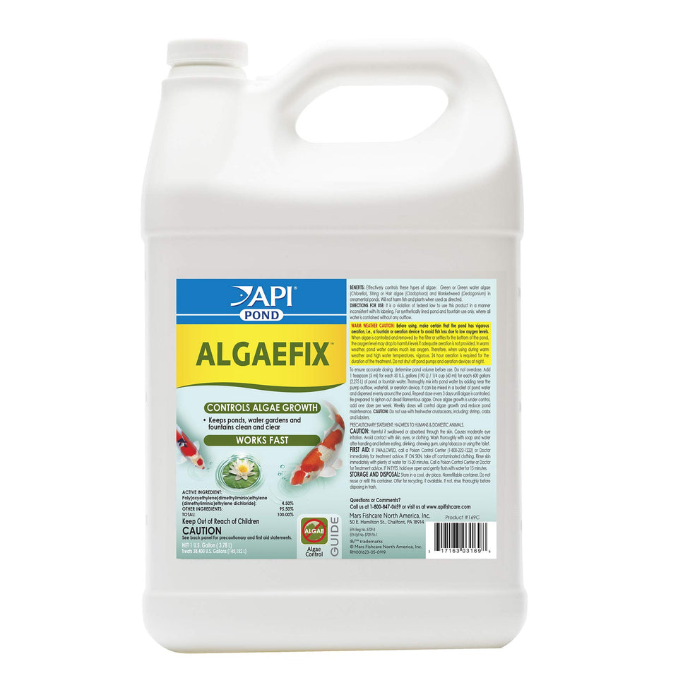 API POND ALGAEFIX bottle and label showing copper-free algae control safe for fish and plants.