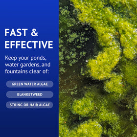 API Pond Algaefix fish-safe formula supports healthy aquatic life.
