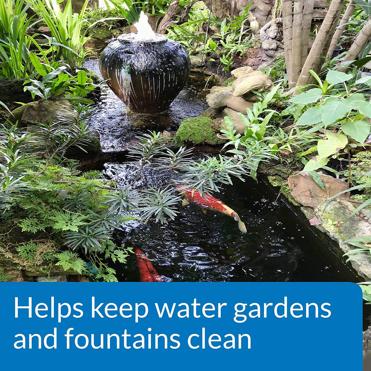 API POND ALGAEFIX bottle with fish and plants, safety-focused usage