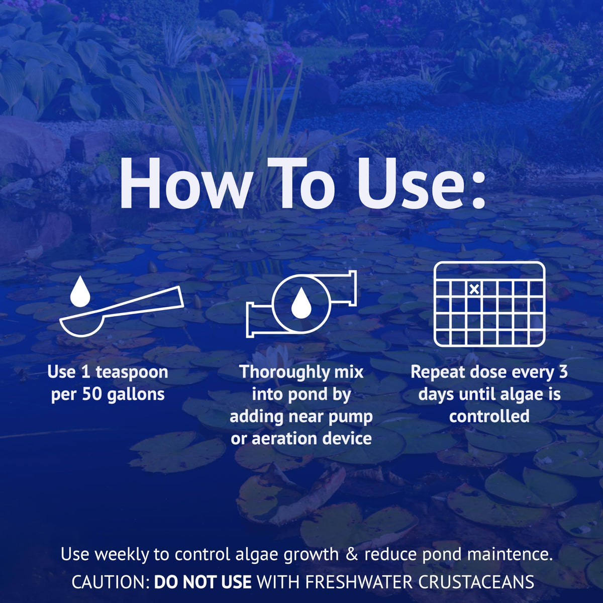 API POND ALGAEFIX targets green water and filament algae in ponds.