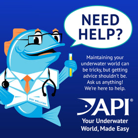 API POND ALGAEFIX packaging for outdoor ponds and fountains.