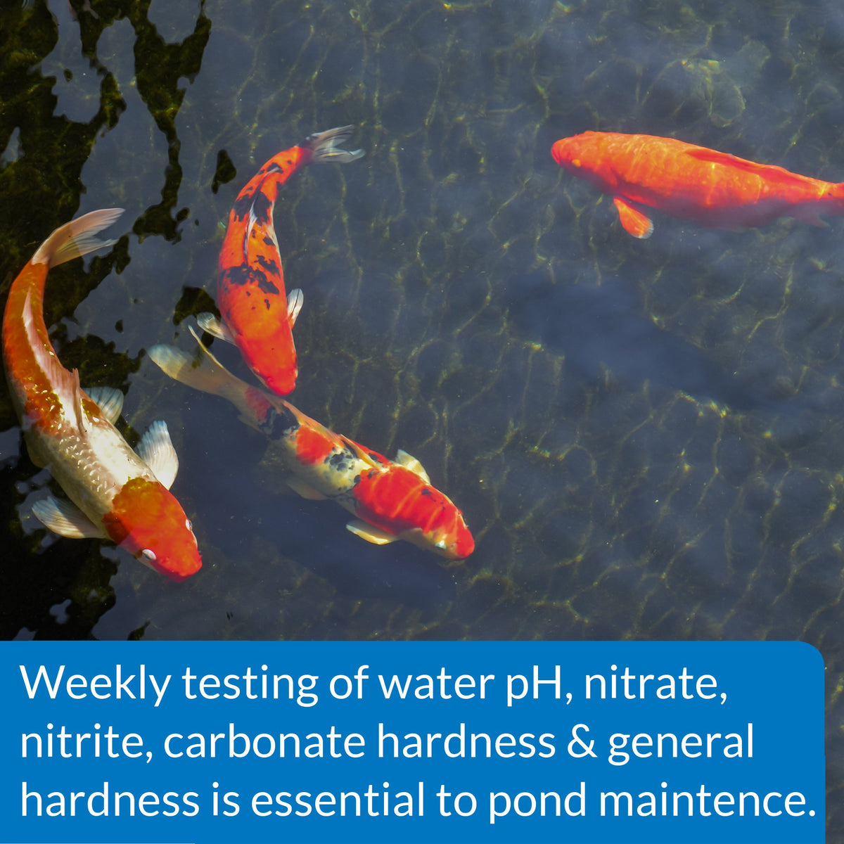 API POND color chart close-up for visual parameter matching