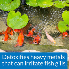 Freshwater pond filling with API POND neutralizer for healthy water