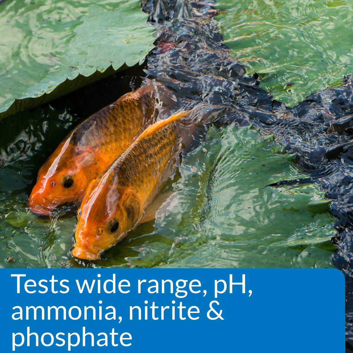 API Pond Master Test Kit test tubes with snap-tight caps for reliable readings