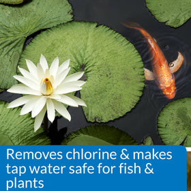 API Pond Neutralizer being poured into pond water for safe changes.