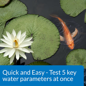 API POND 5in1 strip shows pH, nitrite, nitrate, and hardness indicators