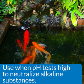 Close-up of API POND pH DOWN label highlights phosphate-free formula for algae control.