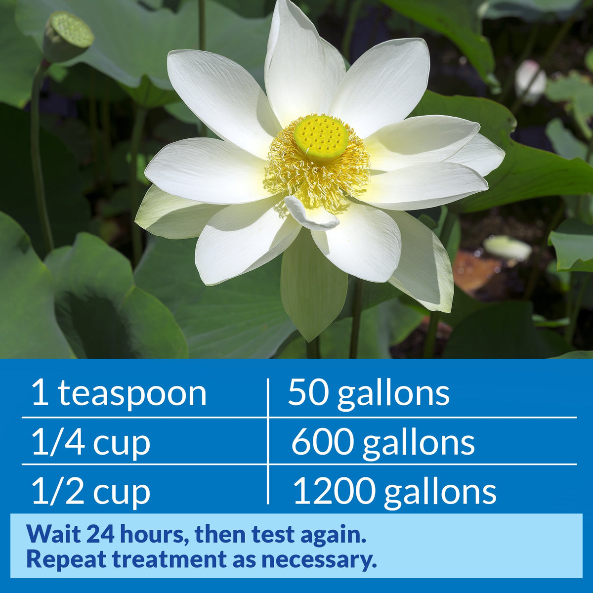 API POND pH DOWN bottle beside a pond edge for easy dosing.