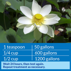 API POND pH DOWN bottle beside a pond edge for easy dosing.