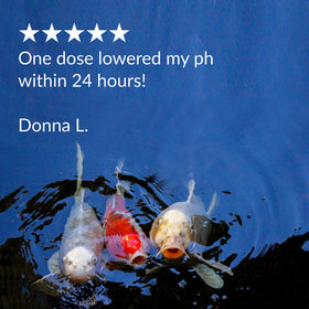 API POND pH DOWN packaging shown with pond décor for home garden ponds.