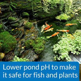 API POND pH DOWN used with pond testing to monitor results.