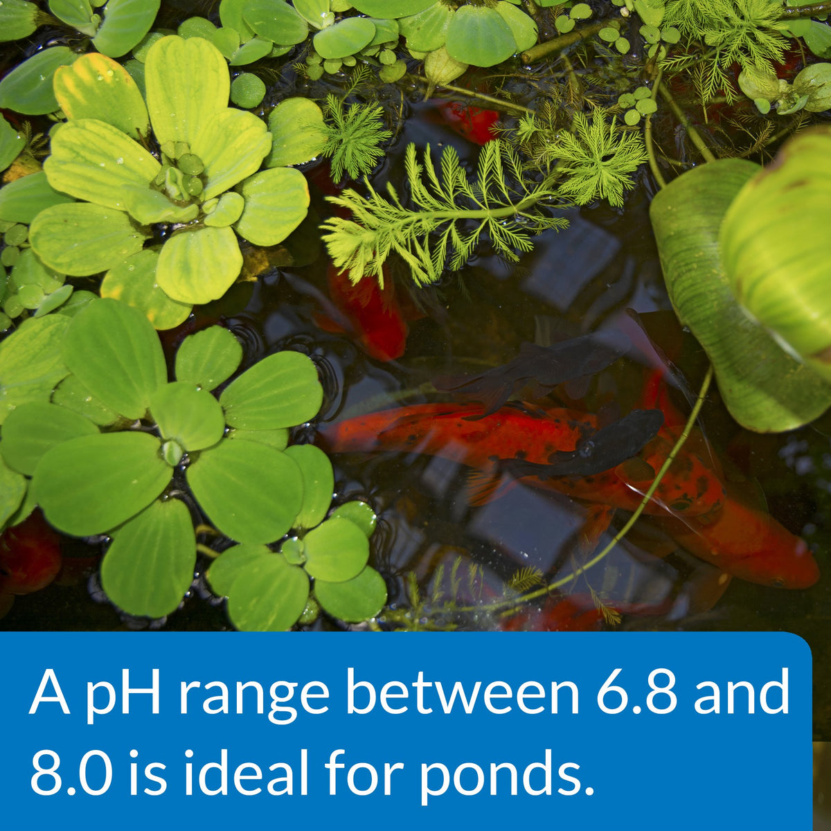 API POND pH UP safe use around delicate fish and aquatic plants
