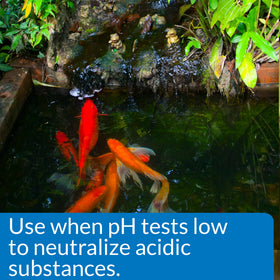 API POND pH UP phosphate-free formula supports pond balance