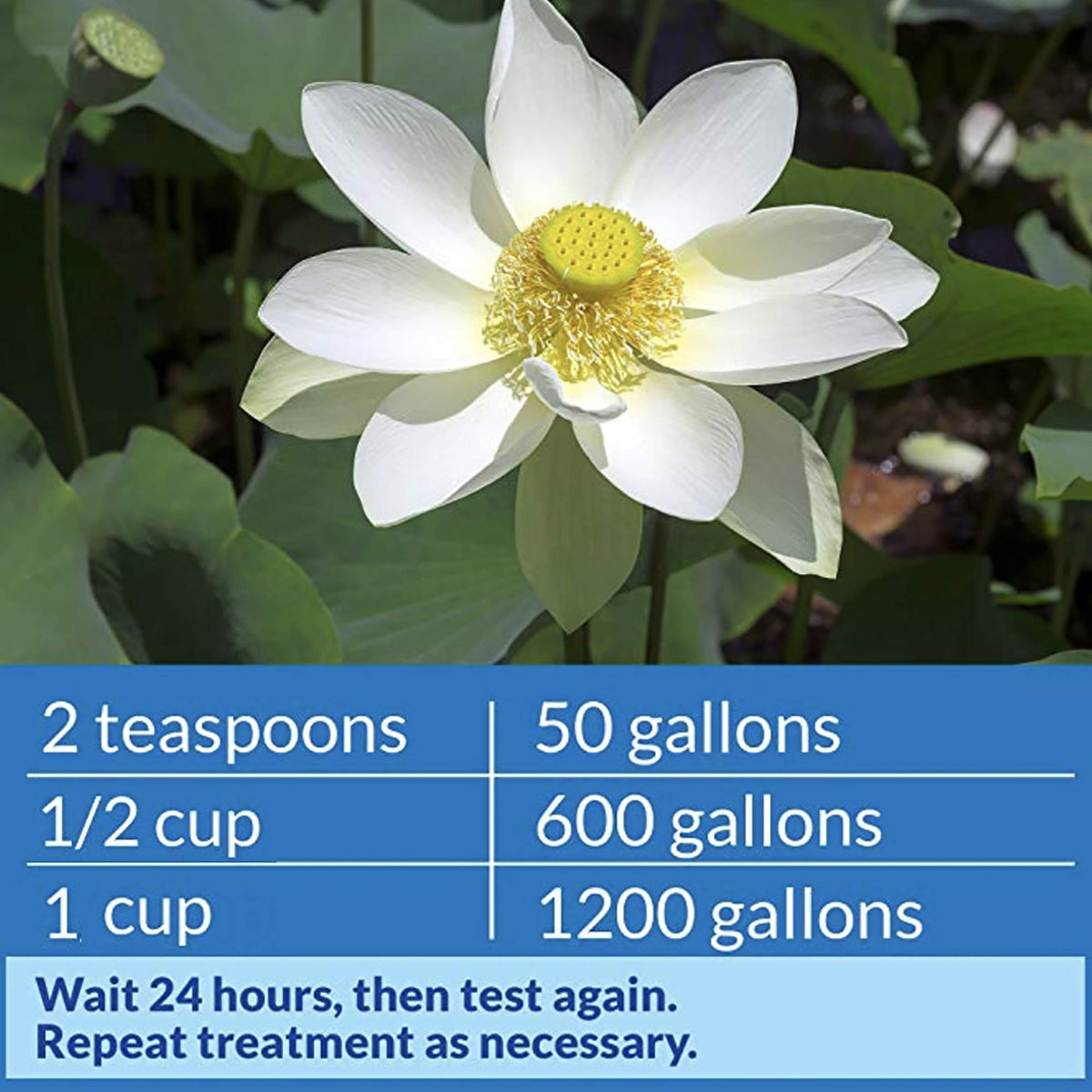 API POND pH UP weekly testing reminder for consistent pond care