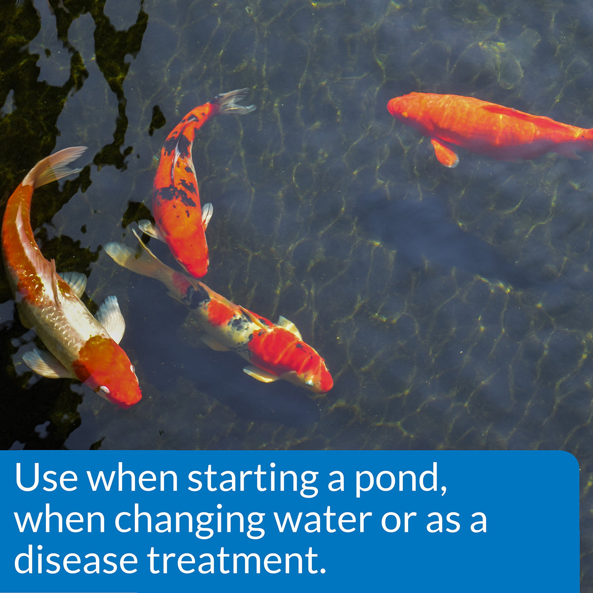 API POND SALT evaporated sea water origin emphasizes all-natural composition for pond health