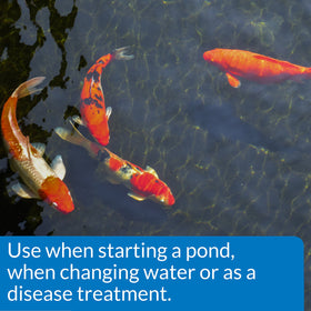API POND SALT evaporated sea water origin emphasizes all-natural composition for pond health