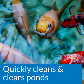 API POND SIMPLY CLEAR sludge breakdown action improves pond cleanliness.