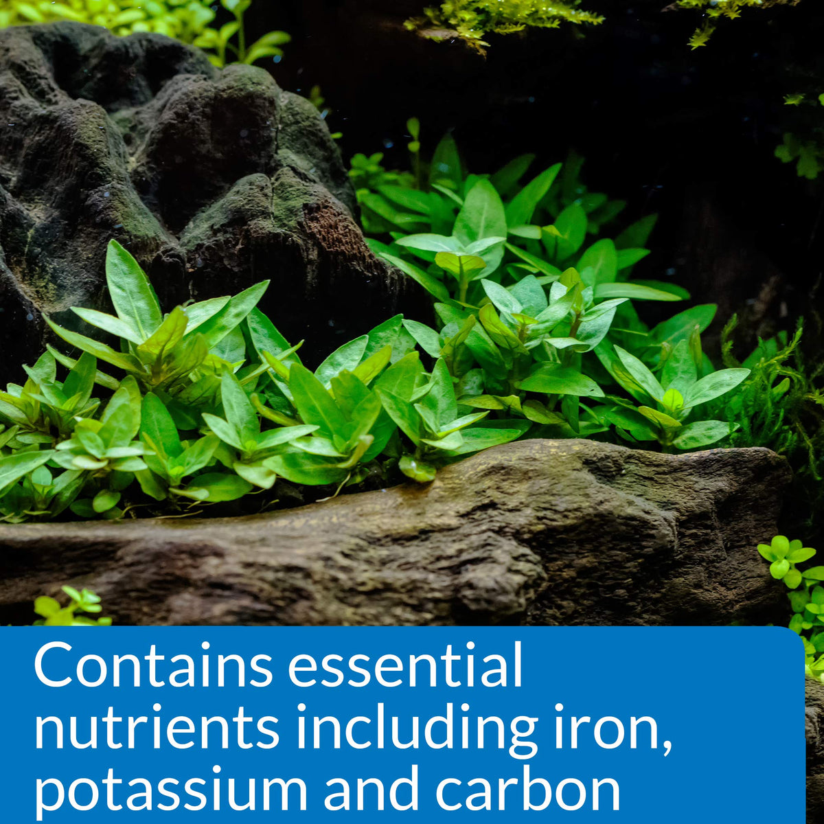 API Root Tabs provide essential nutrients like iron, potassium, and carbon for plant health.