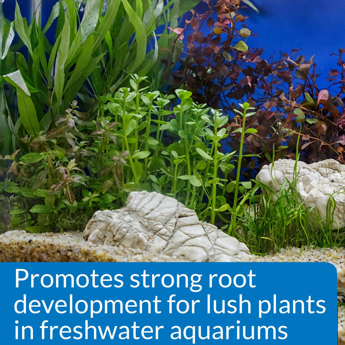 API Root Tabs encourage new growth and help established plants flourish.