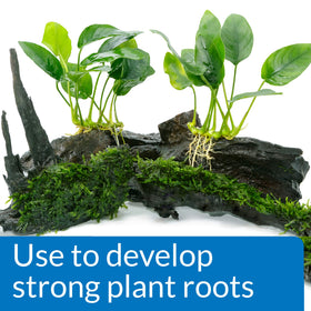 API Root Tabs support vigorous root establishment in new aquarium plantings.