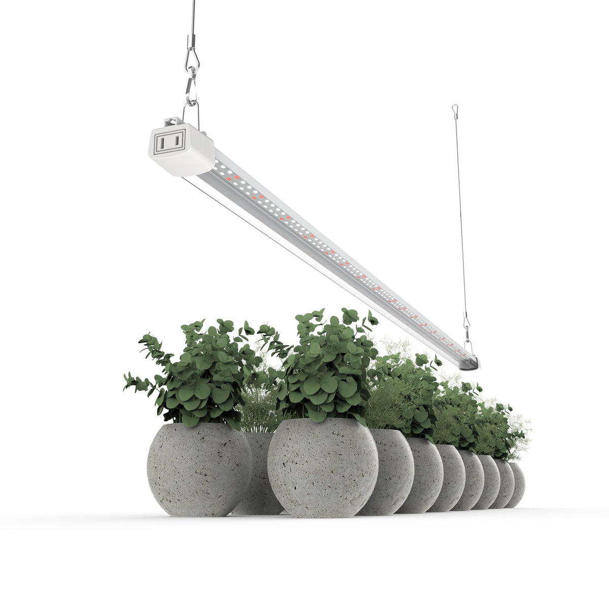 APICDOM daisy-chain connection enables easy expansion to cover larger areas.