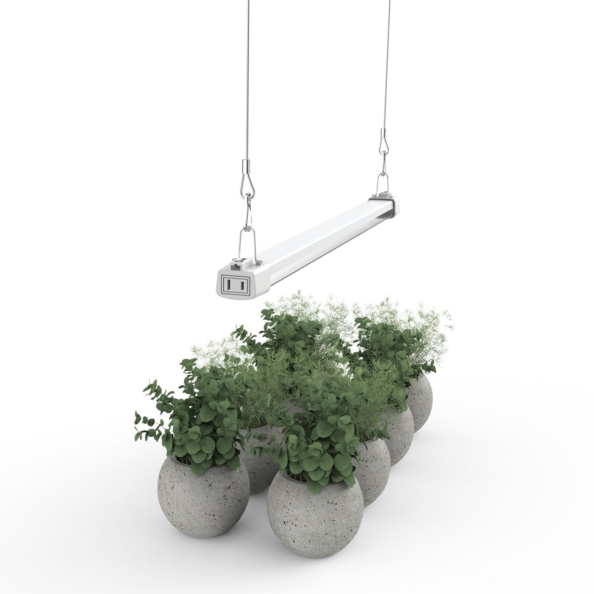 APICDOM LED Grow Light 2FT with full spectrum for thriving indoor seedlings