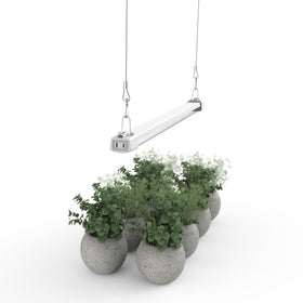 APICDOM LED Grow Light 2FT with full spectrum for thriving indoor seedlings