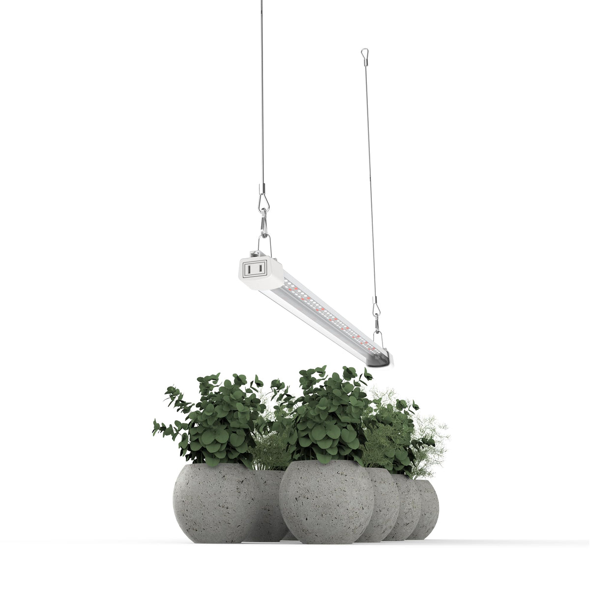 APICDOM slim-profile 2FT grow light designed for tight spaces and even coverage