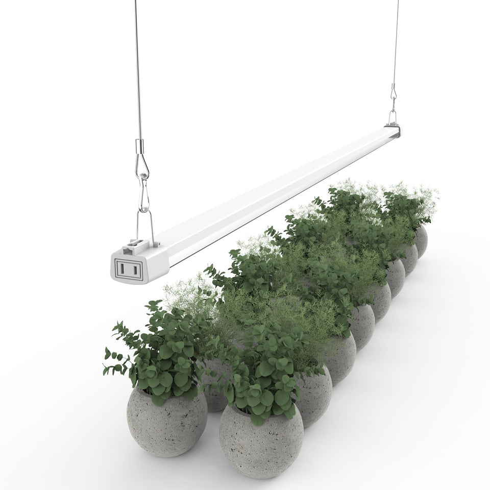APICDOM LED grow light 4ft full spectrum panel for thriving seedlings.